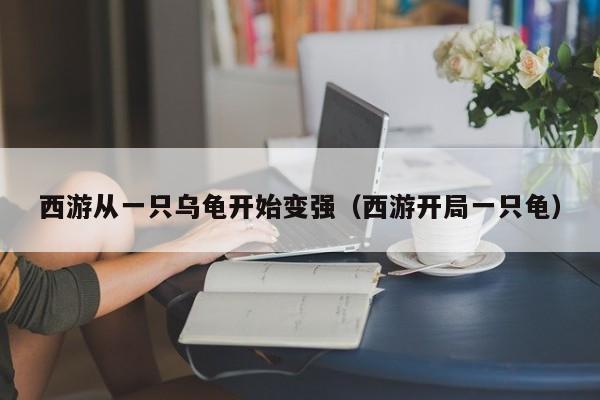 西游从一只乌龟开始变强（西游开局一只龟）