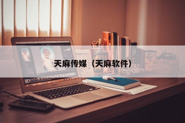 天麻传媒（天麻软件）