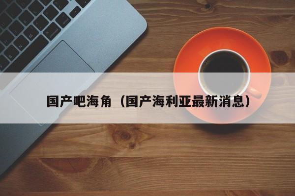 国产吧海角（国产海利亚最新消息）