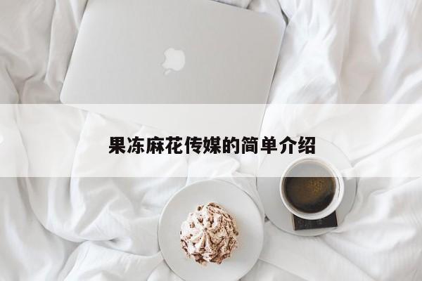 果冻麻花传媒的简单介绍